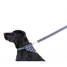 Chequered Neoprene Dog Lead
